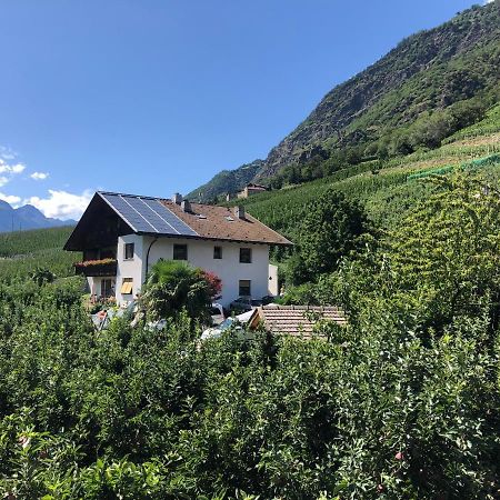 Apartamento Pixnerhof - Urlaub Am Biohof Castelbello Exterior foto